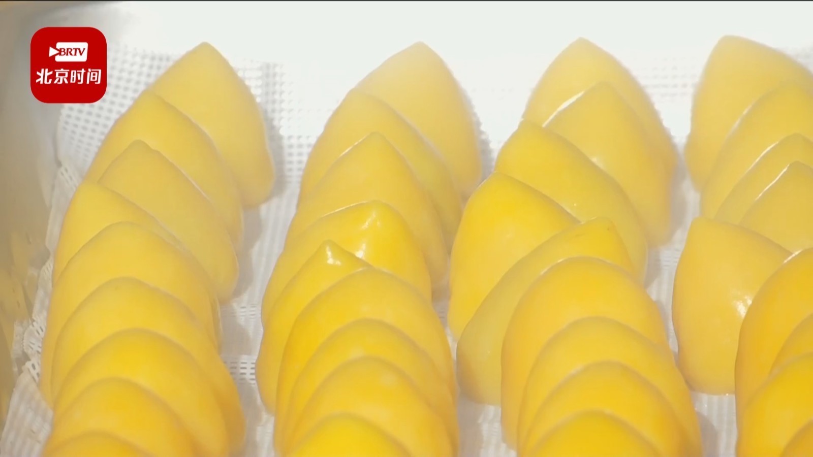 走出大山！东北小豆包闯出大名堂