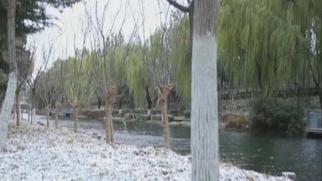 北京市园林绿化局:今后北京的冬天会越来越绿 北京市园林绿化局:今后北京的冬天会越来越绿