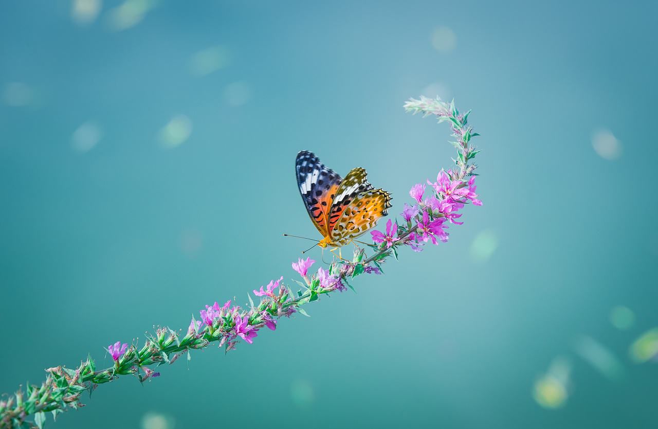 励志语录:生活不易,与其祈求生活平淡点,还不如