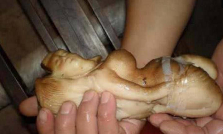 男子在自己的后院挖出了"人形怪物",疑似传说中的千年太岁