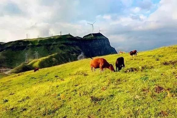 中国境内的十大景色奇观,第9个太污了