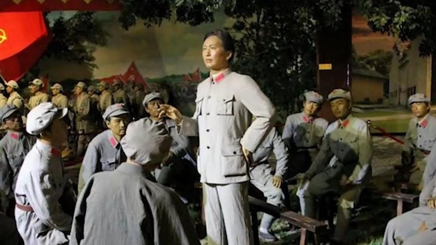 江西这棵老樟树，怎样保护了毛主席？