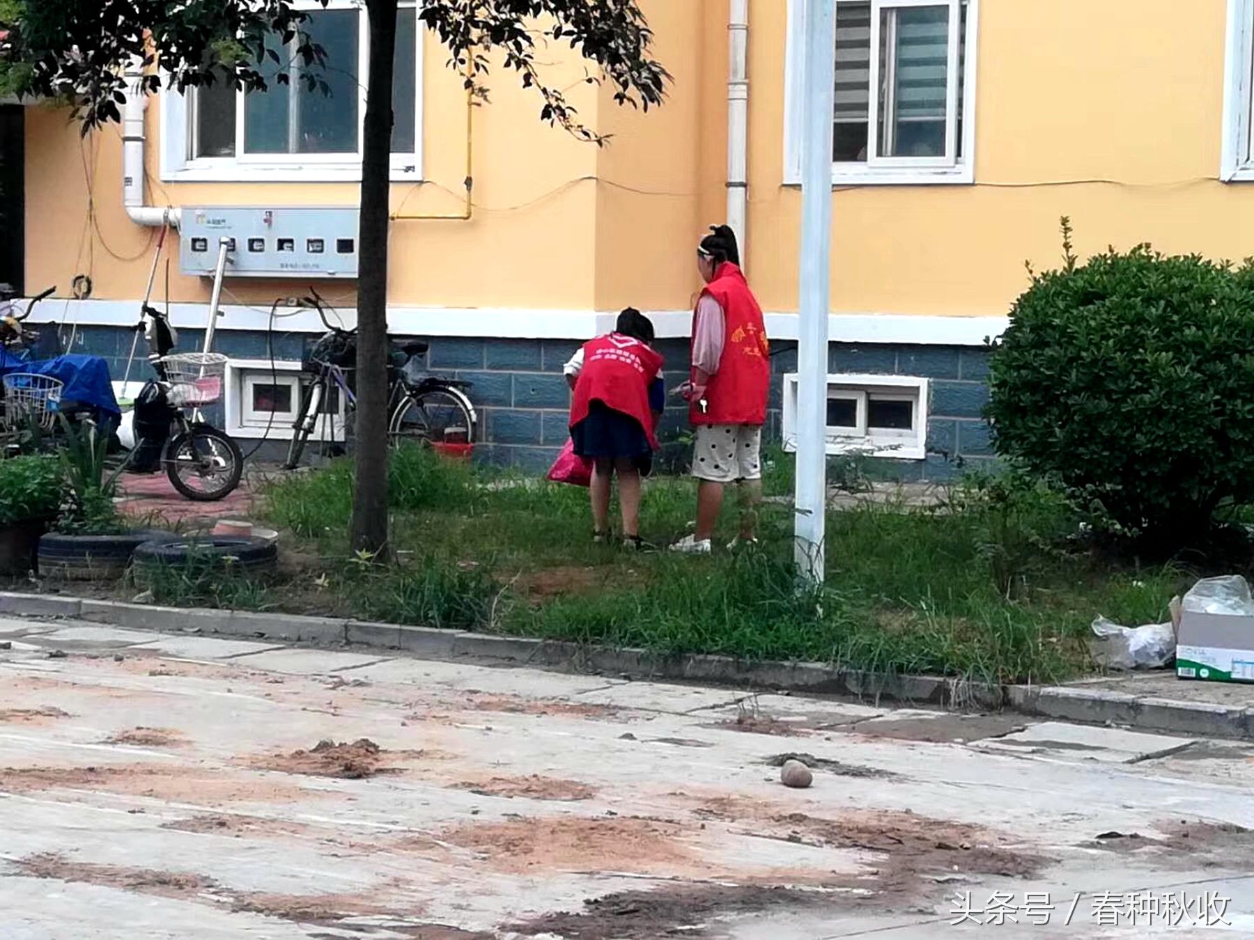 这些孩子走进小区,做起义工,锻炼孩子什么?对