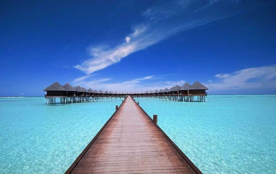 护照又值钱了!2018最新免签落地签国家清单!出