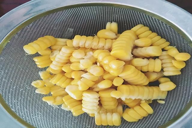 秘制啤酒玉米粒钓鱼窝料,在家自己做,简单省事