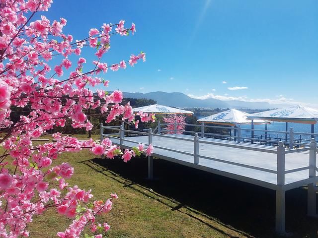 鼐思碧水蓝天景区全面升级,引领中国乡村旅游融合发展