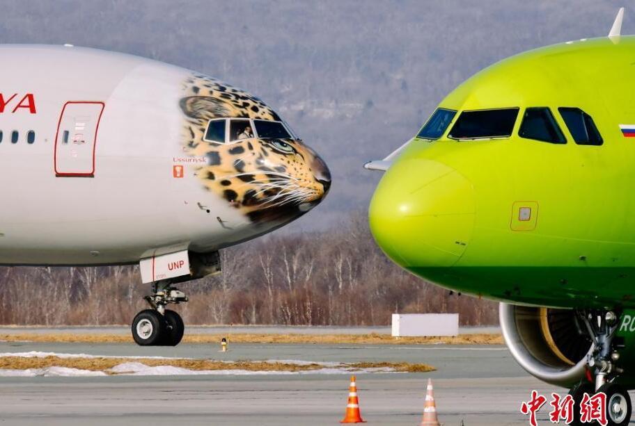 帅到爆表!俄航推远东豹彩绘飞机