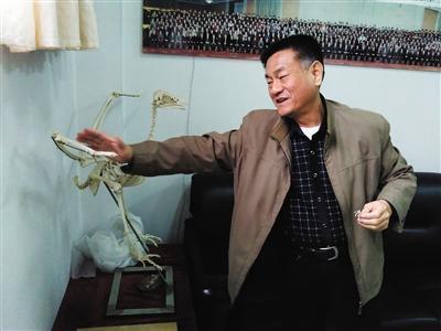 也有郑晓廷这类成功逆袭的案例。这位今年62岁的老人初中都没毕业，但在古生物学界，已颇具名气。他在英国《自然》、美国《科学》等世界顶级科学杂志，发表学术论文十余篇，2010年受聘成为临沂大学教授。其研究发现甚至改变了科学界对恐龙和早期鸟类演化的部分认识，被称为“中国最牛民科”。（资料来源：新华网）