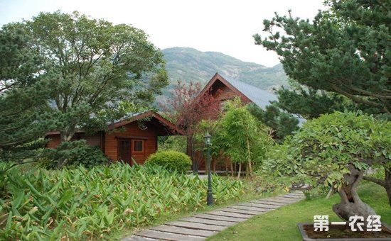 2018年国家农业扶持政策有哪些?哪些农业项目