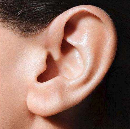 中医解释耳朵干湿的区别