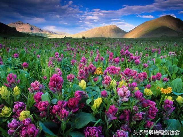 农村五保户去世后,亲属能继承遗产吗?