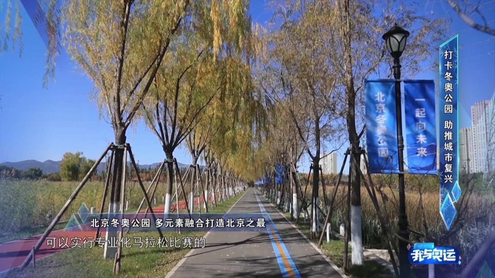 融合多重元素 盘活既有空间的冬奥公园打造了多少个北京之最？