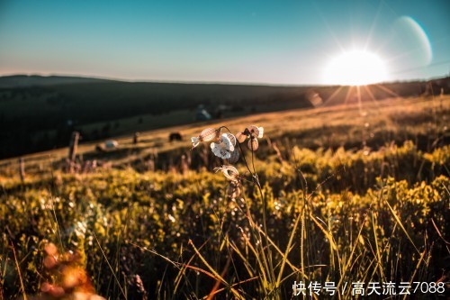 晏殊最出名的诗句:无可奈何花落去,似曾相识燕