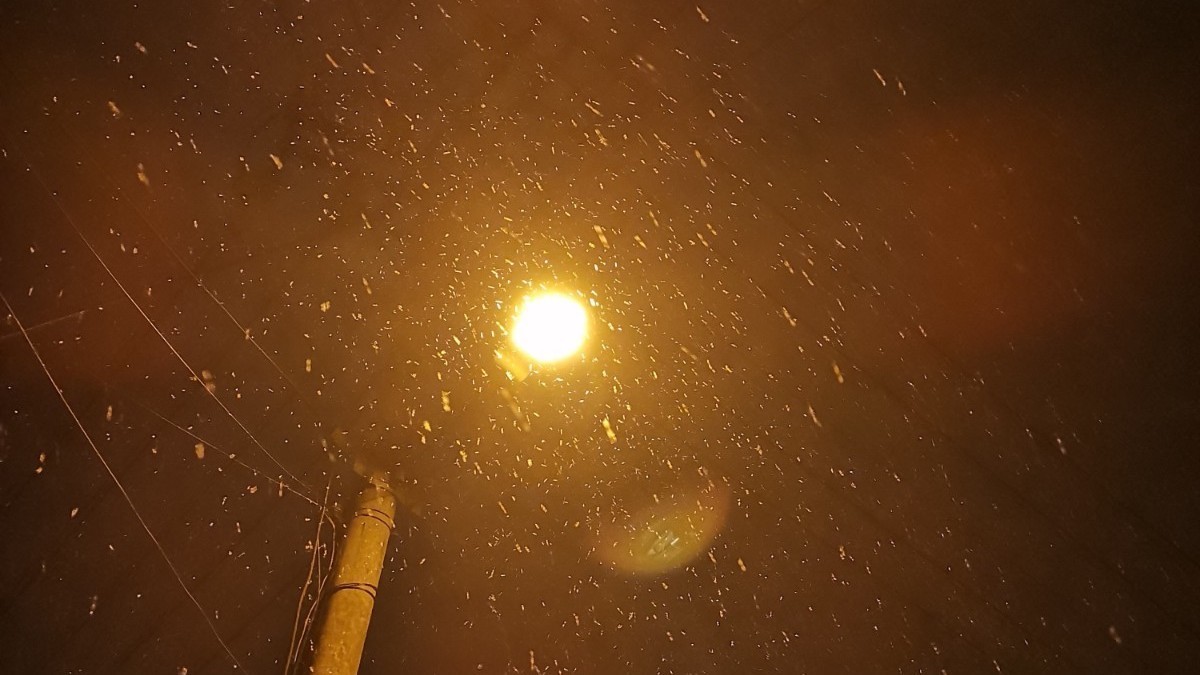 大范围降雪已到货!注意道路结冰湿滑 大范围降雪已到货!注意道路结冰湿滑