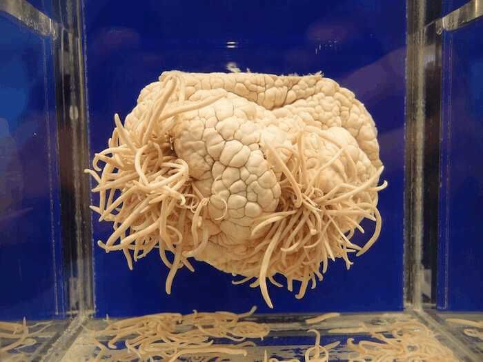跟团游日本,导游绝对不会带你去的5个独特地方
