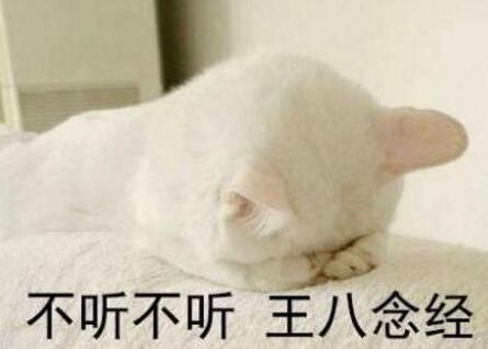 不听不听王八念经是什么意思 接王八念经的下