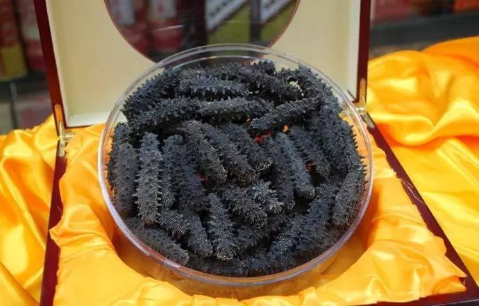 干海参发泡方法 干海参发泡方法