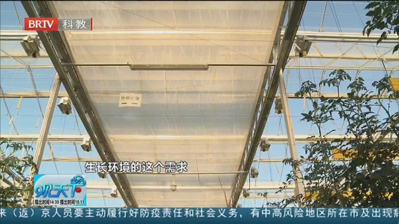 《气象观天下》20211201探访北京农业科技园感受现代农业的神奇魅力