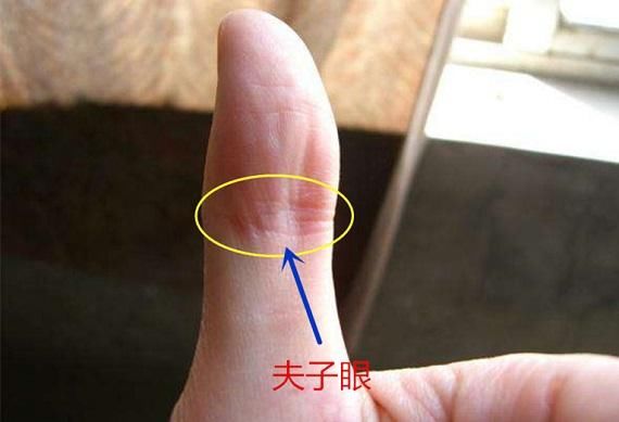 手相说:手中有夫子眼,天资聪慧,事业运旺