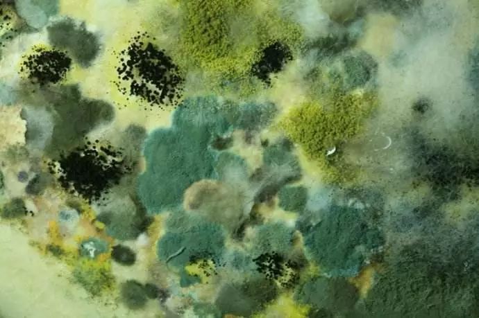 【健康】臭豆腐的配料里竟有屎?还能不能吃了