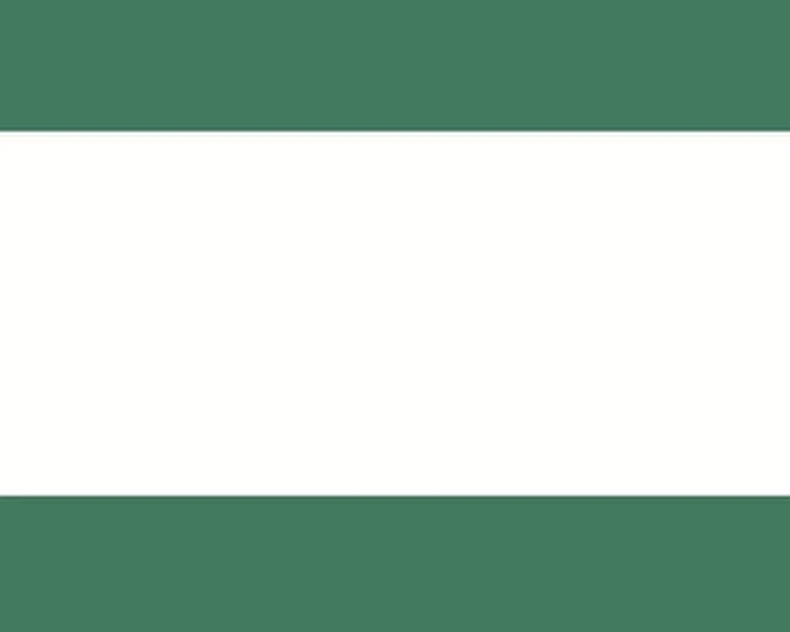 西游记的故事24通天河的大鱼怪第4集