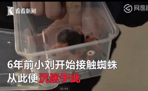 电热毯烧死宠物 电热毯引发火灾400多只宠物蜘蛛被烧死 电热毯烧死宠物 电热毯引发火灾400多只宠物蜘蛛被烧死