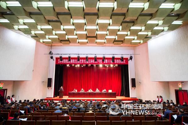 玉环市慈善总会举行第四次会员代表大会 林先