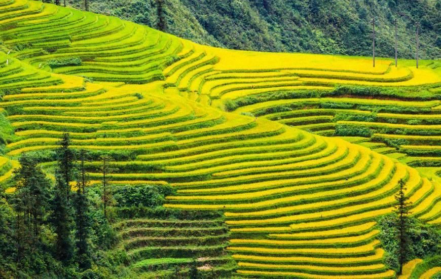 在农村,农业支持补贴多少钱一亩?2018年农业