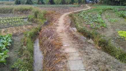 农村流传的真实鬼故事:5个民间农村真实鬼