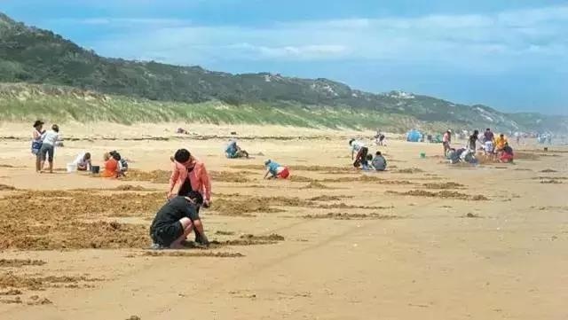 惊心!华人夫妇出国来干这丢脸事!老外路人:中国