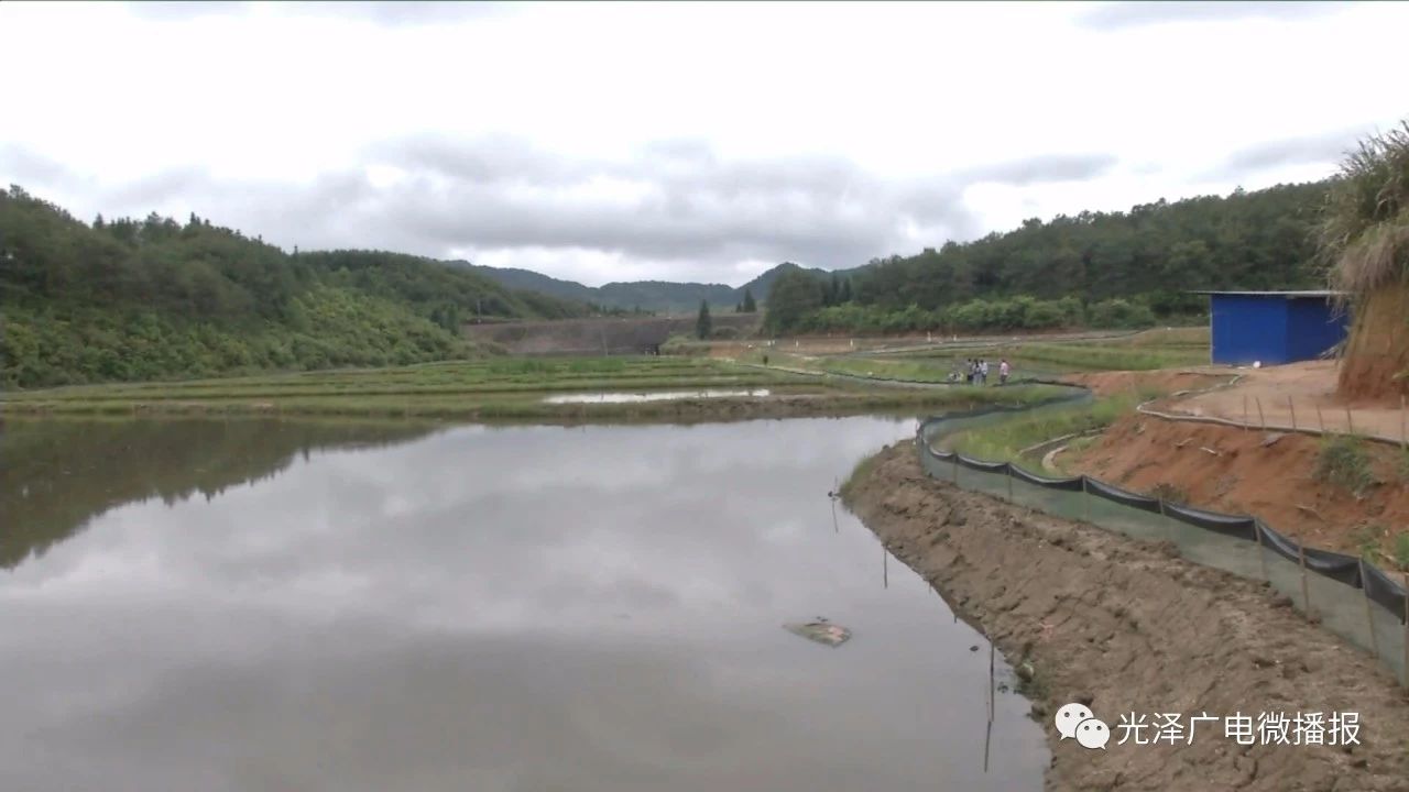 养小龙虾赚不赚钱?看光泽县这家小龙虾养殖合