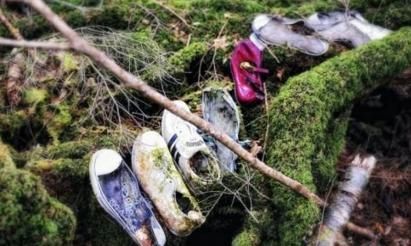 日本富士山风景区的青木原森林是一处人迹罕至