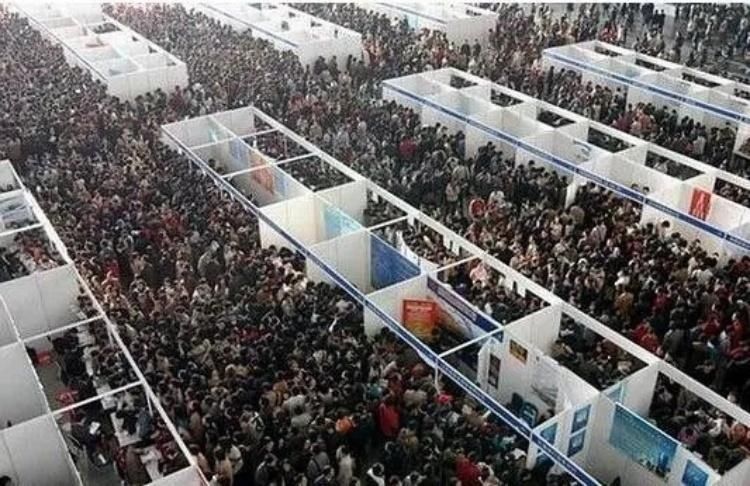 毕业季最纠结,大学生何去何从?