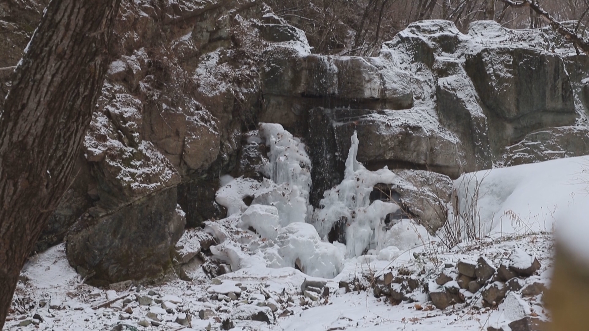 今天,门头沟区大部分地区开始出现降雪 今天,门头沟区大部分地区开始出现降雪