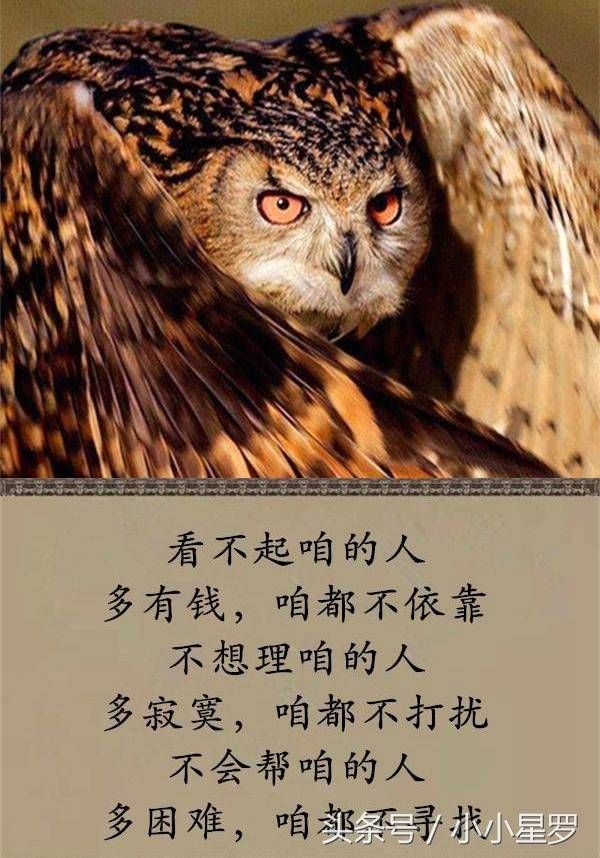 有钱别瞧不起别人,没钱别瞧不起自己