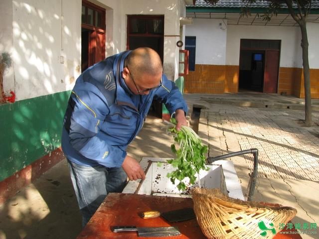 冬日里的暖阳--沙洋义工联志愿者走进纪山、十