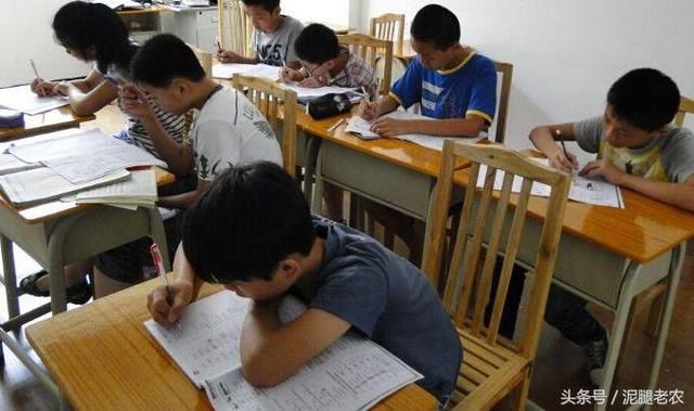 农村很有发展前景的四个行业,干好了一年赚10