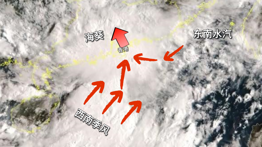 百年不遇！世纪暴雨袭击广东香港，台风海葵只是表层原因