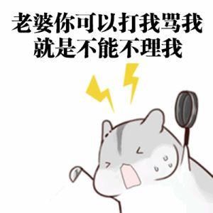 情侣聊天最实用小仓鼠表情包!