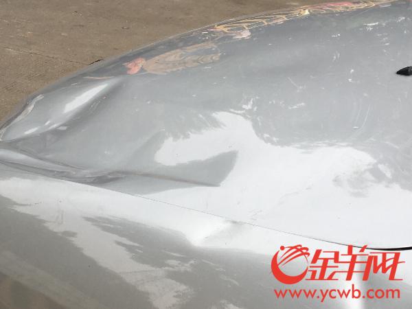 下雨天马路上的行道树将小车砸了一个坑