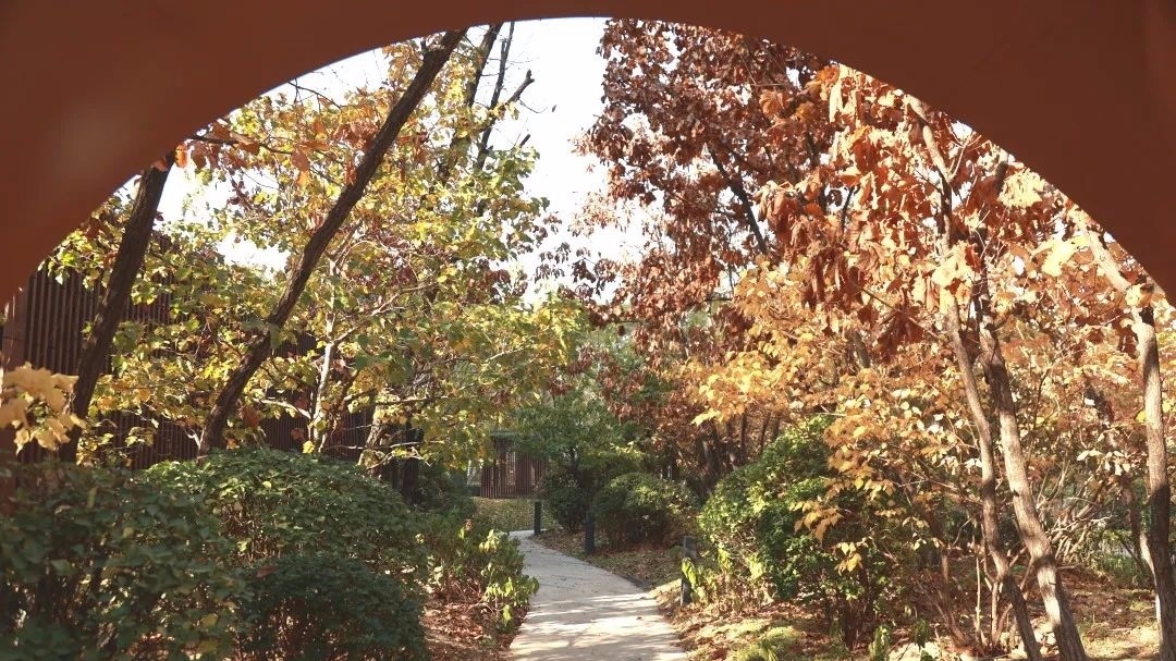 在“花园”里生活是一种怎样的体验? 在“花园”里生活是一种怎样的体验?