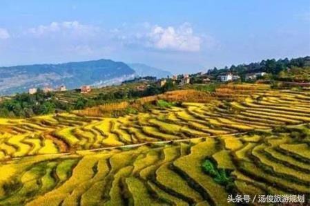 乡村旅游规划师:推进实施乡村振兴战略与城镇