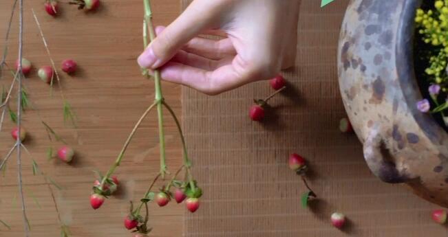 《了不起的匠人》第二季 第1集 黎族阿婆的泥与火之歌 《了不起的匠人》第二季 第1集 黎族阿婆的泥与火之歌