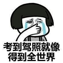 考驾照表情包,一段催人泪下的孙子时光