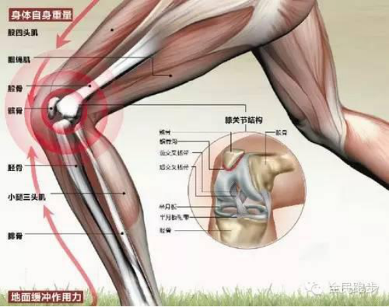 四种膝盖伤及其针对性治疗 总有一款适合跑马的你 四种膝盖伤及其针对性治疗 总有一款适合跑马的你