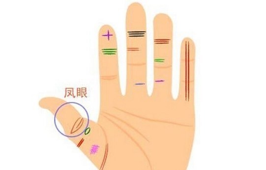 男人手上4条发财线,典型潜力股,婚后越过越富