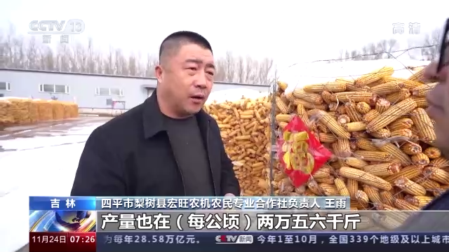 东北黑土地上的丰收“密码”：秋收与护土同步 积极推行“田长制”