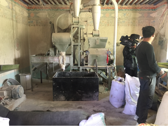 粮油厂内机器轰鸣,工人正在加工青稞.(记者杨凤临 拍摄)