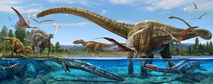 恐龙因小行星撞地球而灭亡?这颗琥珀让