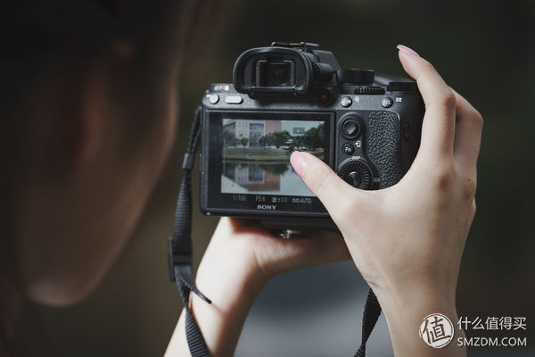 科普文,索尼微单对焦系统深度剖析与应用